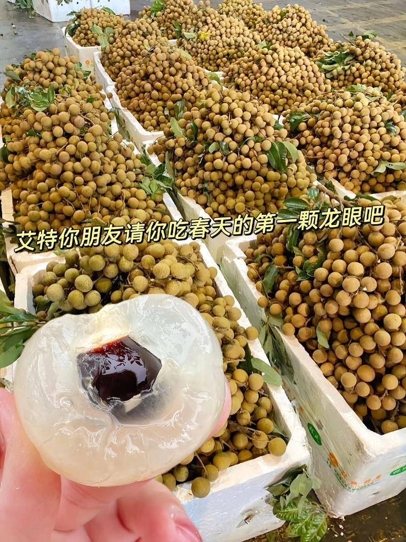 龙眼正当季 小小一颗，凭什么成为夏日宝藏水果？